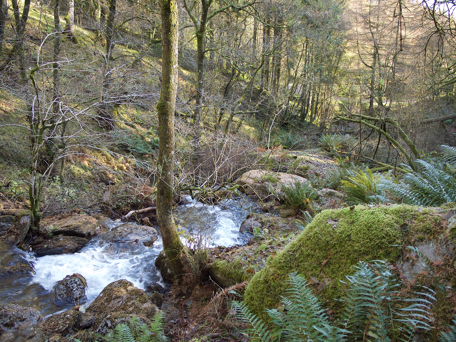 cwm rhaeadr