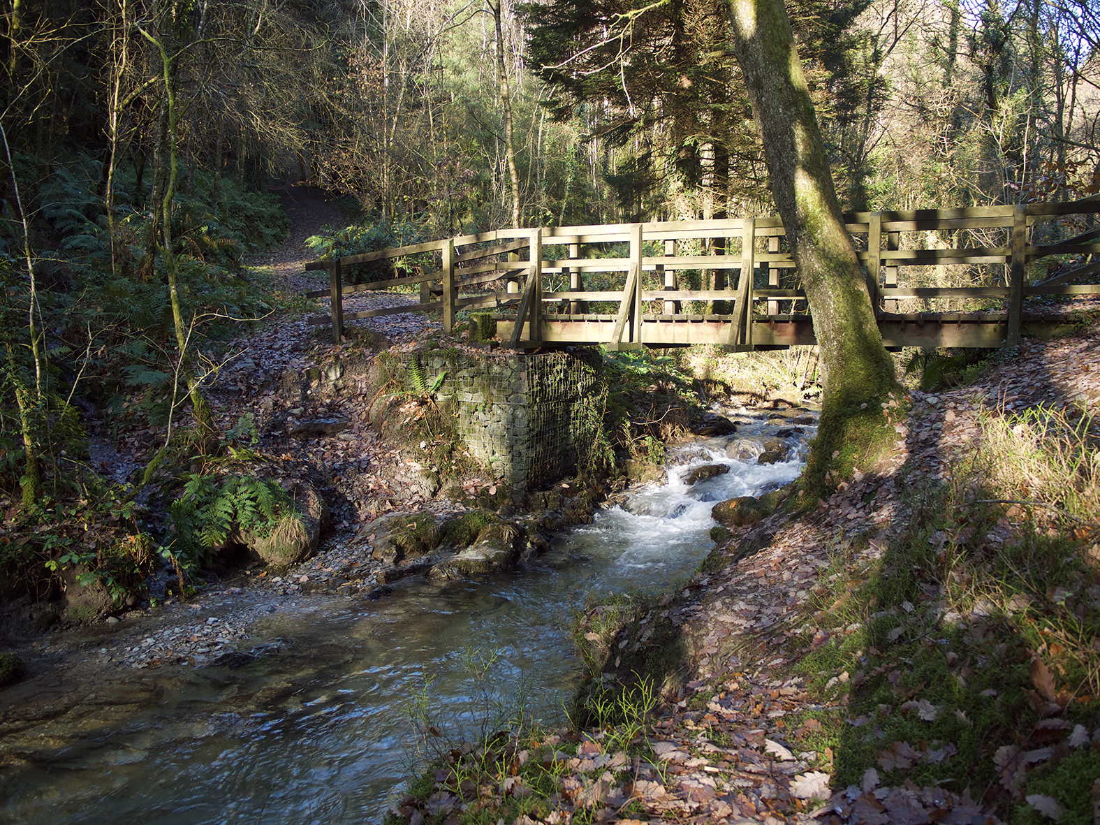 cwm rhaeadr