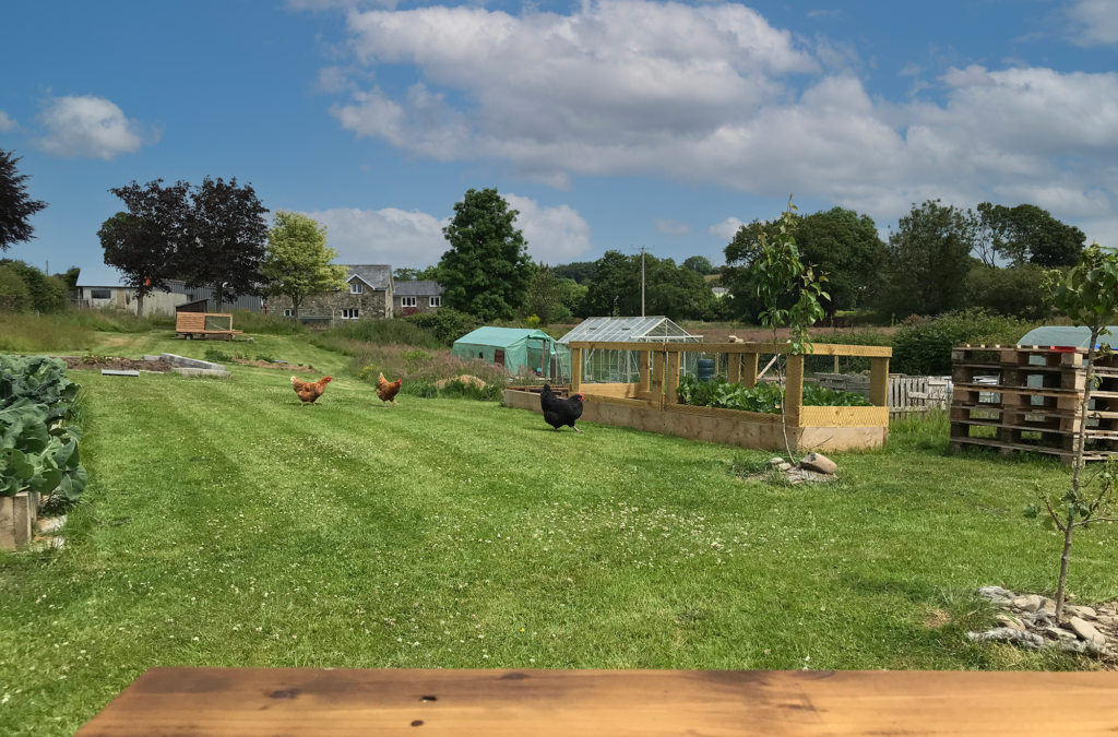 Vegetable garden